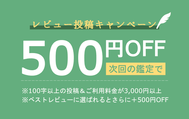 レビュー投稿特典500円OFF