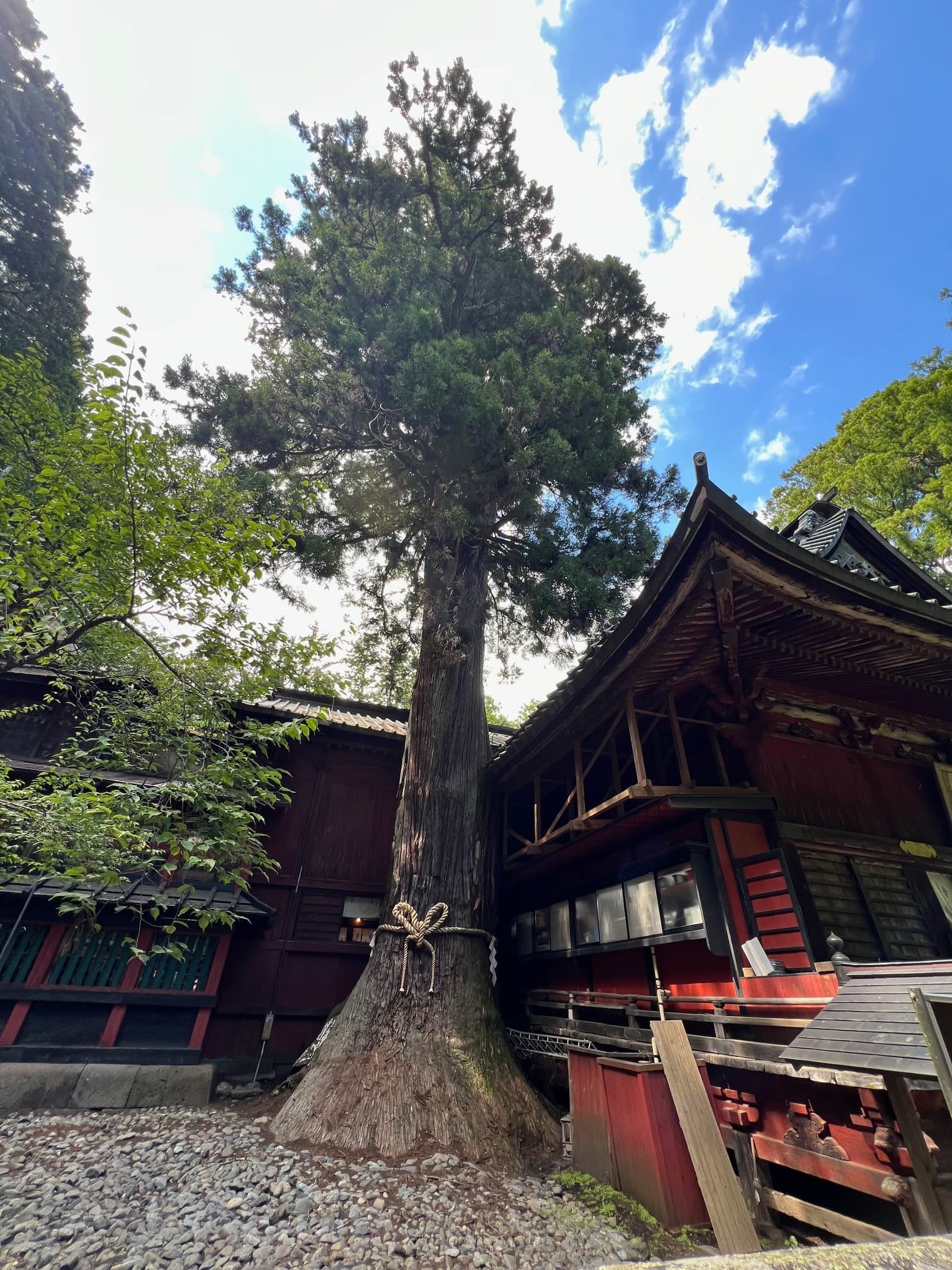 諏訪神社02