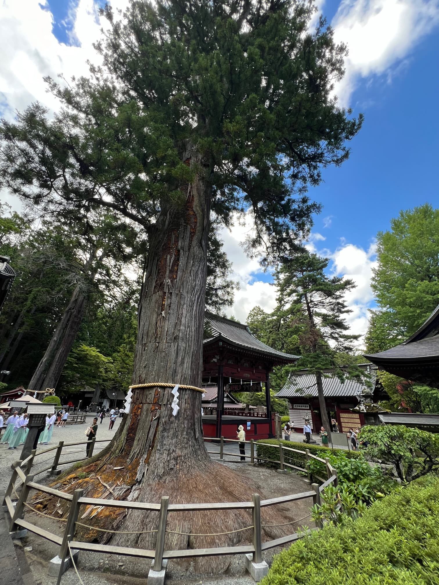 諏訪神社03